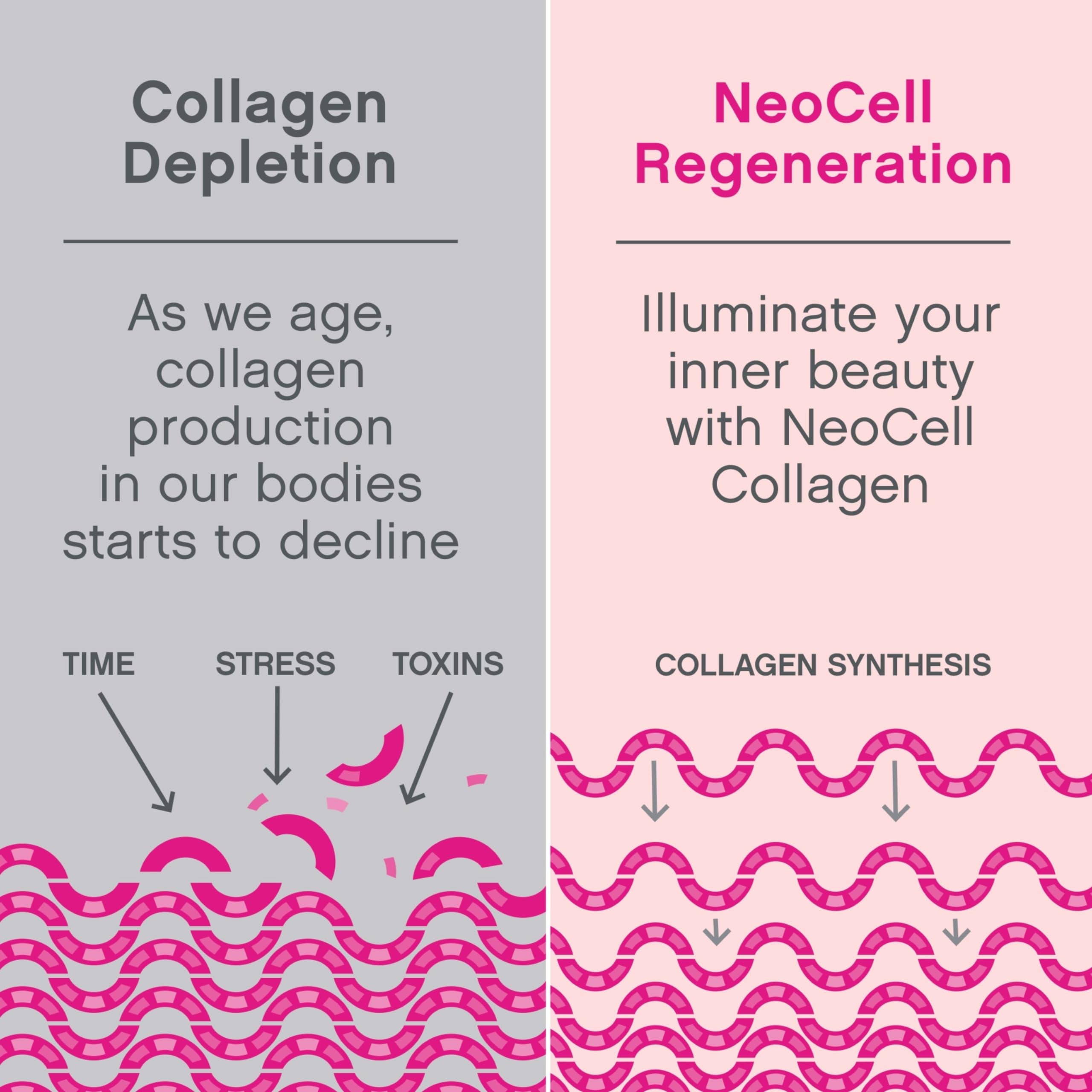 NeoCell Super Collagen Peptides, 10g Collagen Powder | كولاجين باودر