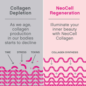 NeoCell Super Collagen Peptides, 10g Collagen Powder | كولاجين باودر